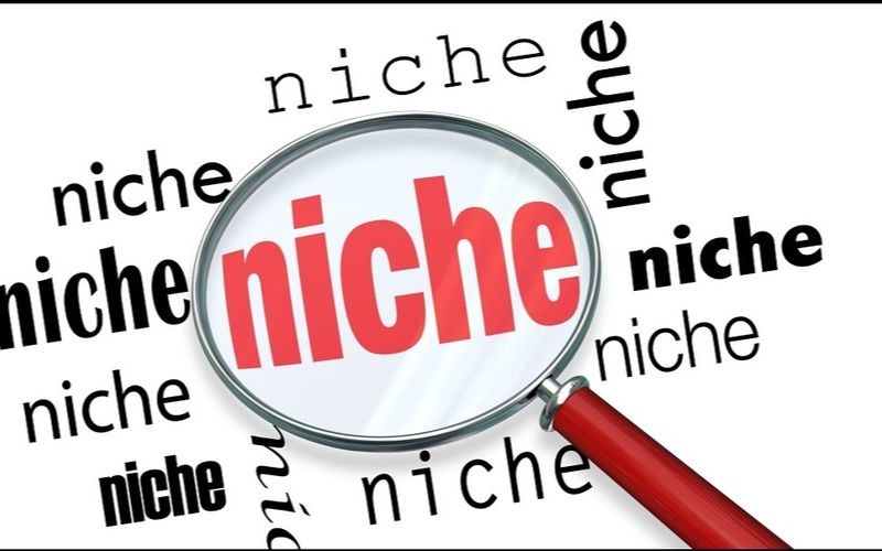 Niche site là gì?