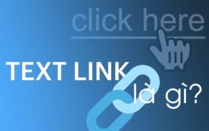 textlink là gì?